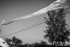 P1040389