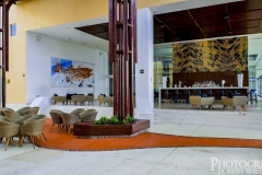 P1050321