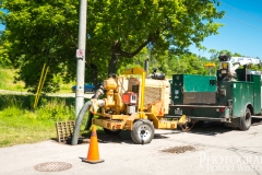 P1050745